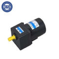 60W High Torque Low Rpm AC Small Reversible Gear Motors